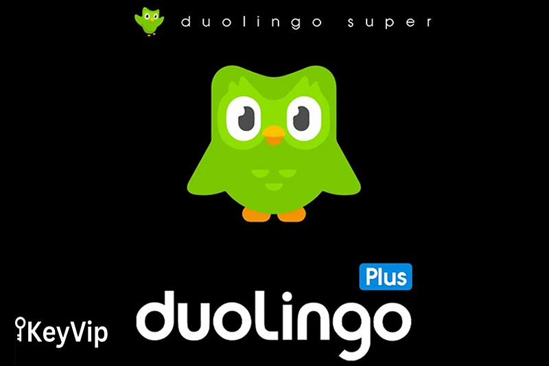 Nâng cấp Duolingo Plus